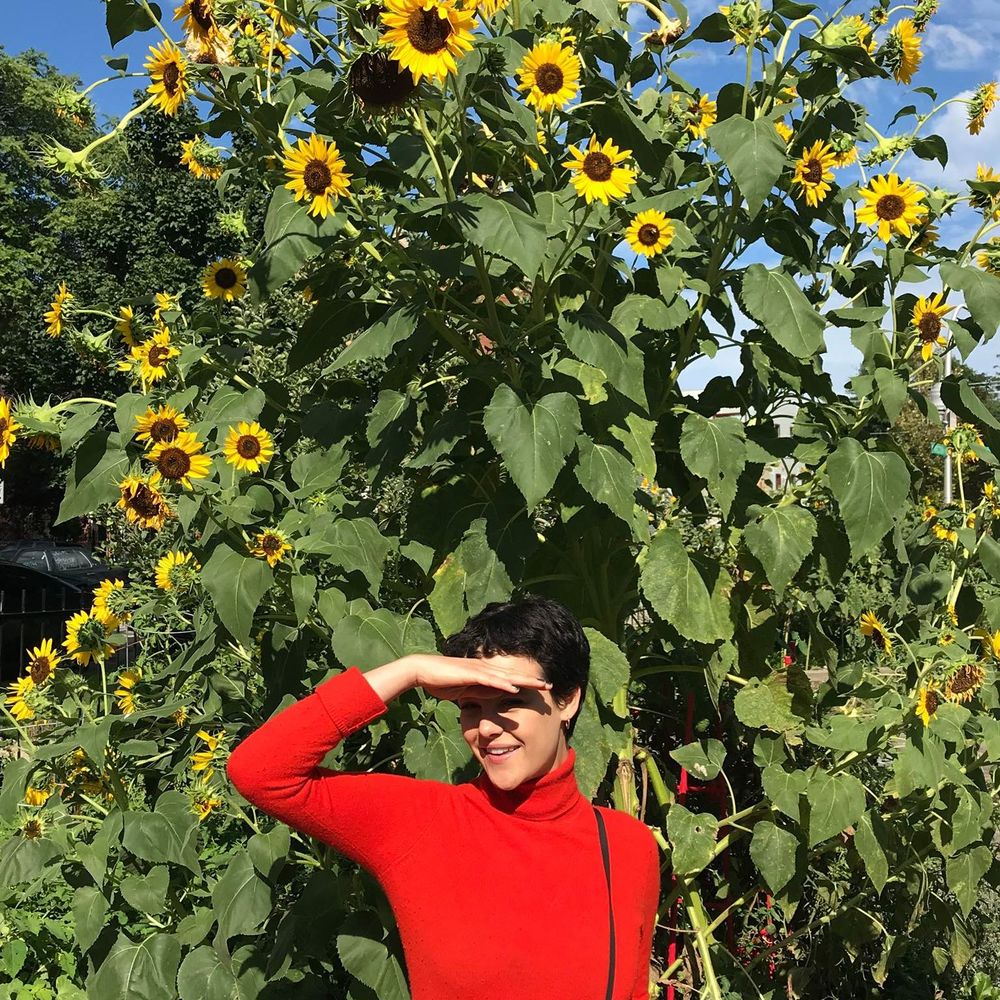 Meet your Posher, Cassidy